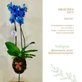 Kokedama de Orquídea