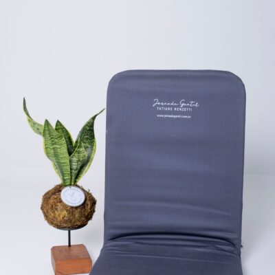 Cadeira e Kokedama com suporte